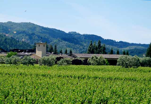 6772-MondaviWinery-052606-156p