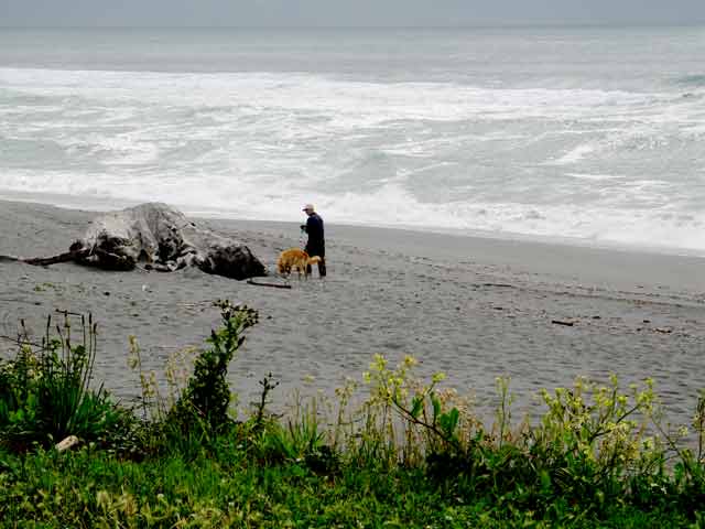 6562-Man&DogOnBeach-052706-427p