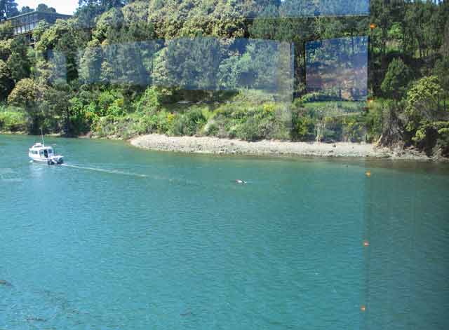 6620-c-NoyoRiver-FtBragg-052806-1150a