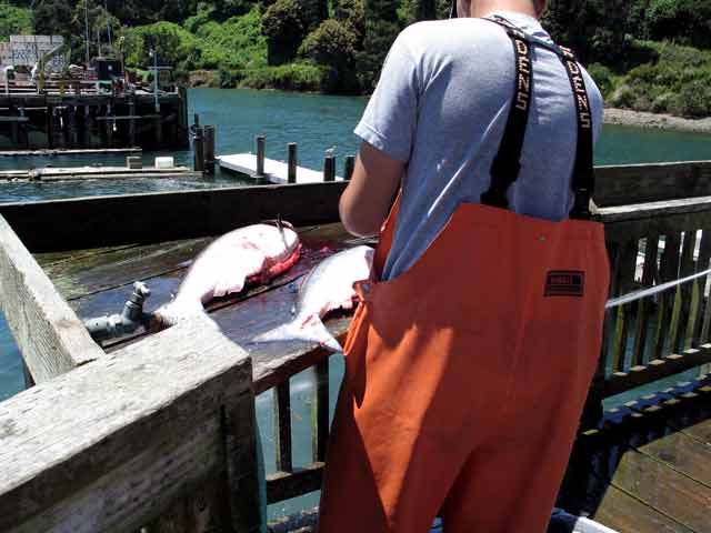 6637-FishCleaning-052806-1243p