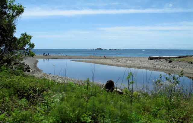 6647-JughandleStatePreserve-052806-109p