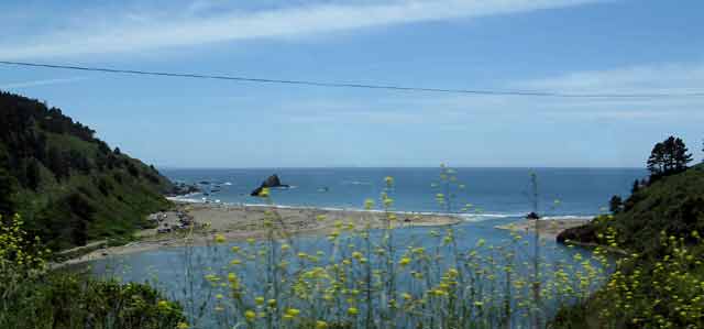 6651-NavarroBeach-052806-119p