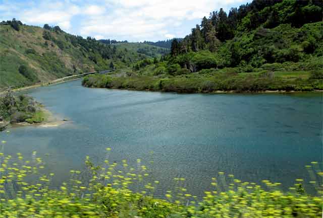 6655-NavarroRiver-052806-119p