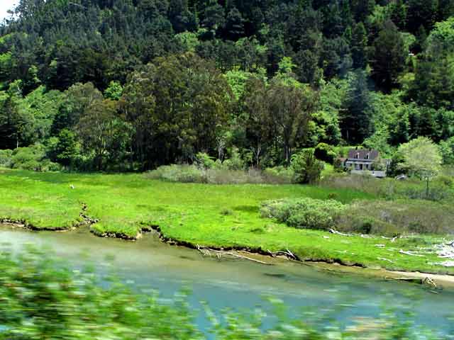 6652-NavarroRiver-052806-119p