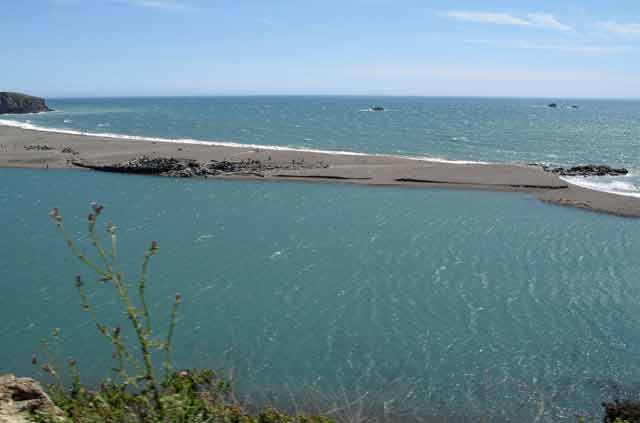 6682-BrownSandSpit-052806-313p