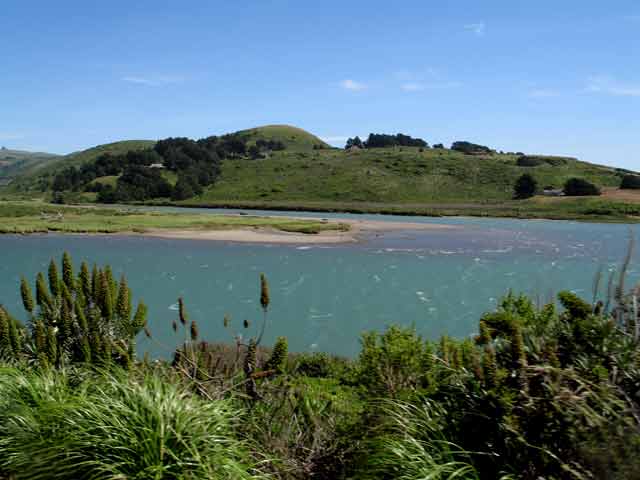 6684-RussianRiver-052806-314p