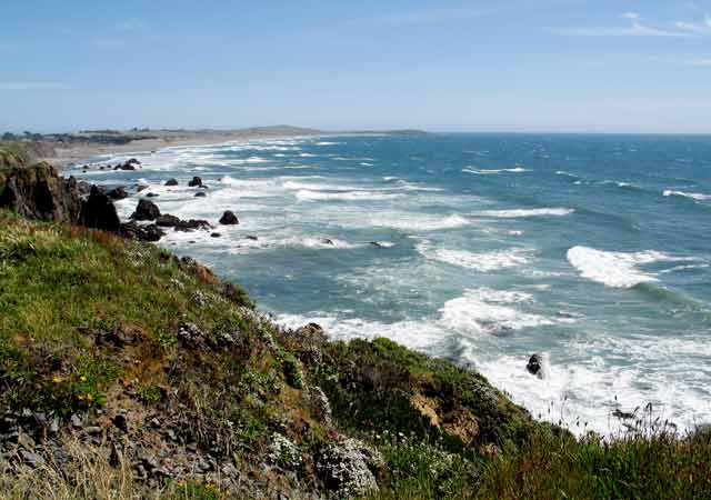 6691-SonomaCoastStateBeach-052806-329p