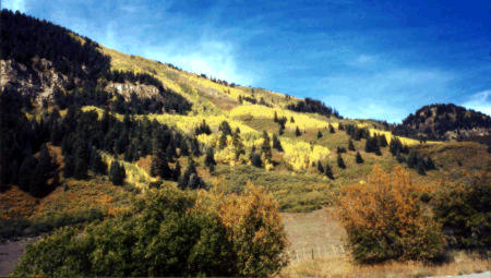 Click here to continue tour.