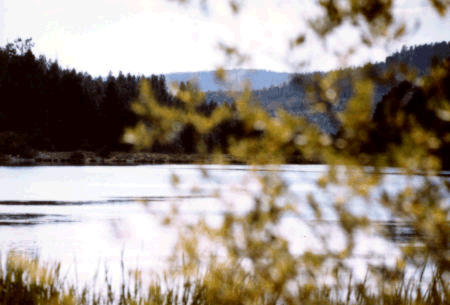 Click here to continue tour.