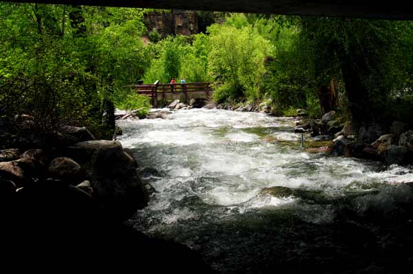 4818-Stop@GrizzlyCreek-050906-141p