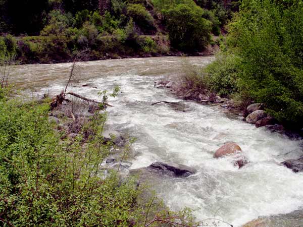 4820-confluenceGrizzlyCreek&ColoRiver-050906-143p
