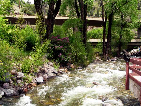 4821-ElevatedHighway@GrizzlyCreek-050906-144p
