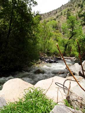 4817-Stop@GrizzlyCreek-050906-140p