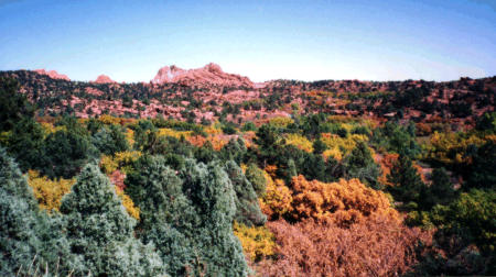 Click here to continue tour.