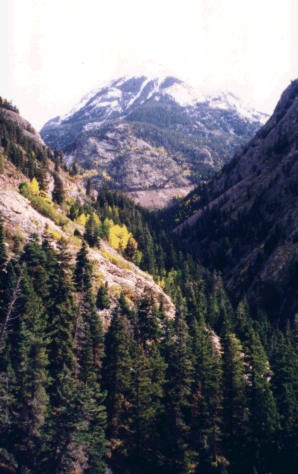 Click here to continue tour.