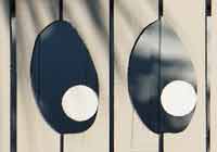 EyeBallsOnFence-041005-508p