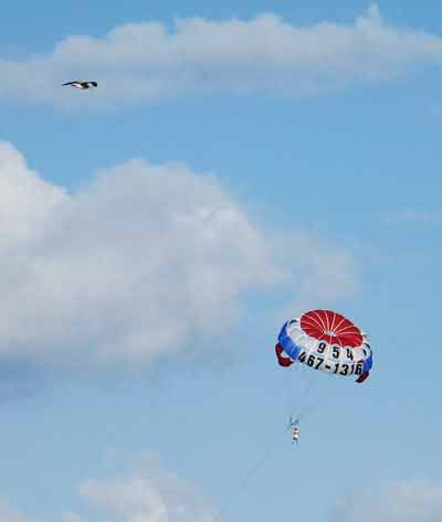 ParaSailing-041005-543p