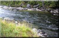 Click to go to Clearwater River pictures