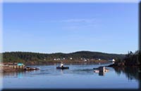 Blacks Harbor Ferry