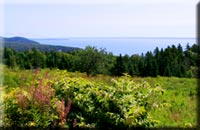 Along the Bay of Fundy