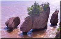 Hopewell Rocks Provincial Park