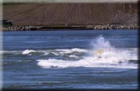 Saint John on the Bay of Fundy