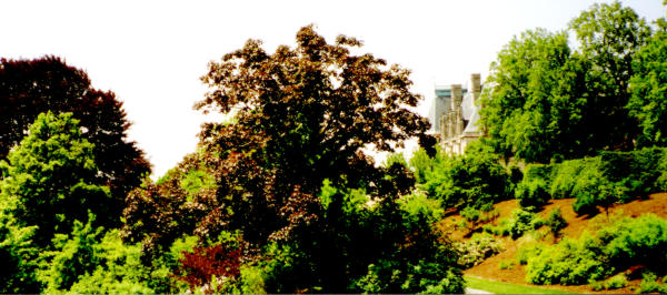 Click to see more of Biltmore Estate