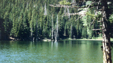 Click here to continue tour.