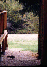 Click here to continue tour.