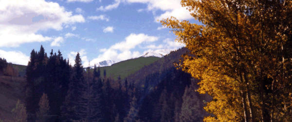Click here to continue tour.