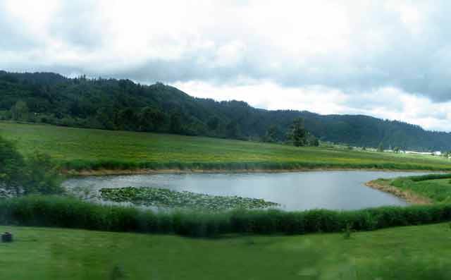 6490-c-LilyPond-052606-447p""