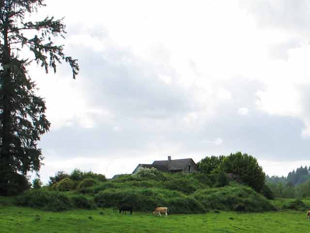 6494-DiaryCattle-062606-450p