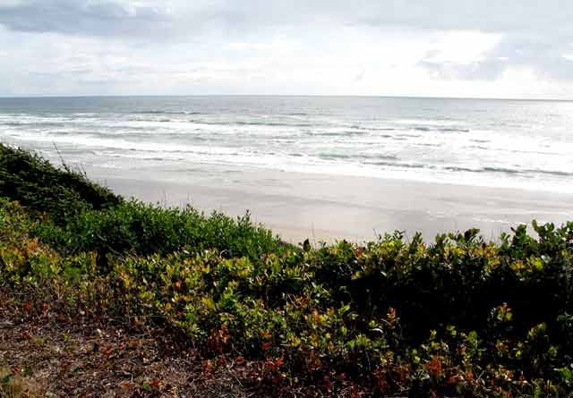 6501-c-Beach-052606-543p