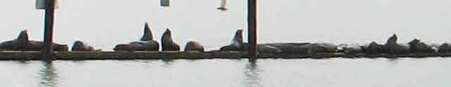 6526-c-Docks@GoldBeach-c-052706-104p