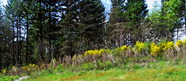 5118-ColumbiaRiver-051206-349p