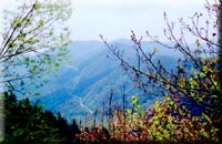 Smoky Mountain photos