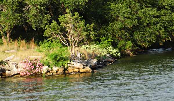 FlowersOnShore-052905-652p