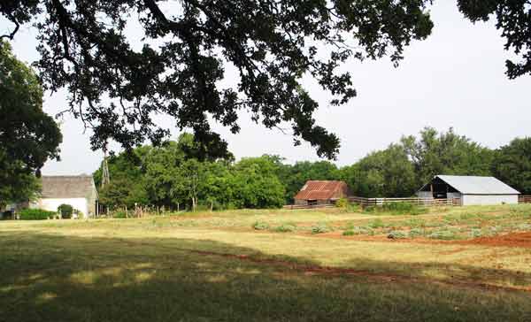 FallCreekFarm-070905-855a