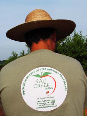 FallCreekLogo-(290)-070805-911a