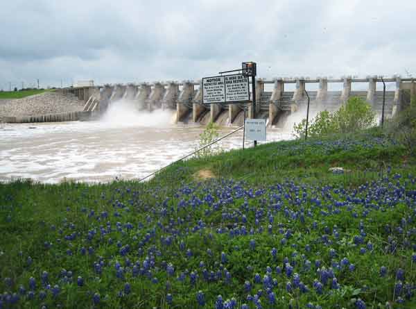 Bluebonnets&dam-040207-204p-0225