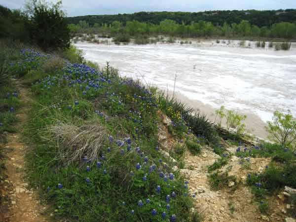 BrazosRiver-040207-207p-0233