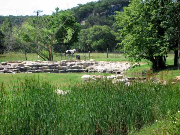 RanchNearMedina-061805-1055a