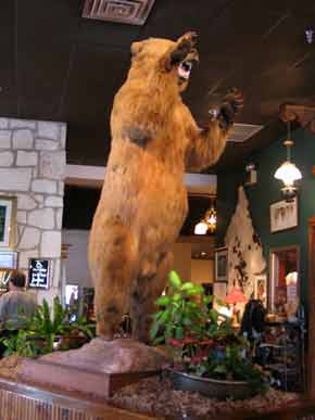 GrizzlyBear-YO-ResortHotel-Kerrville-061805-1128a