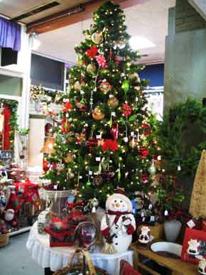ChristmasStore-061805-1224p