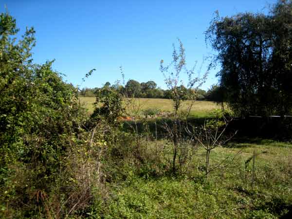 5644-FieldNearTracks-08-1024-1103a