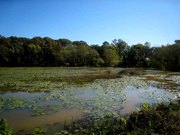 5647-LilyPond-08-1024-1105a