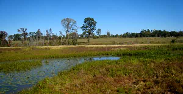 5654-PrettyFields-08-1024-1109a