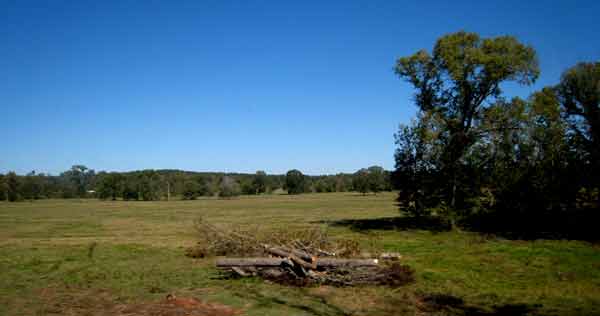 5659-BrushPile-08-1024-1125a