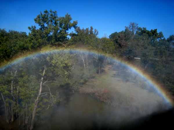 5667-Rainbow-08-1024-1134a