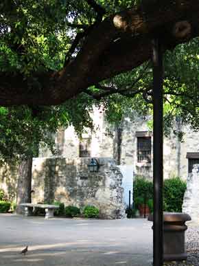 AlamoCourtYard-061905-626p